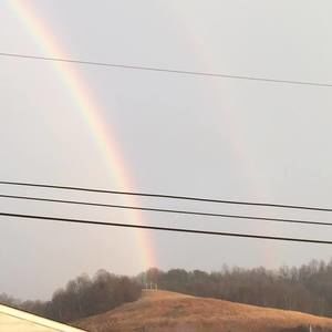 Meet your Posher, Brandy